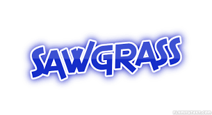 Sawrgrass